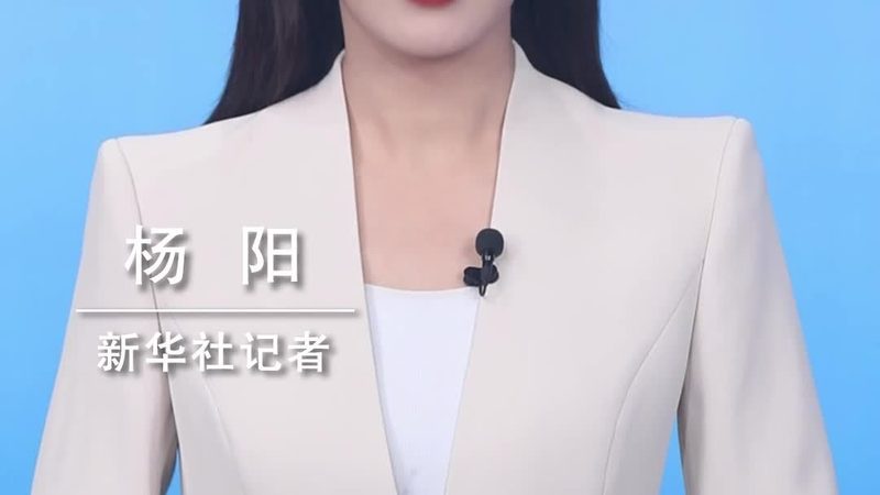 成都数字孪生引擎开发费用：揭秘成本构成与优化策略